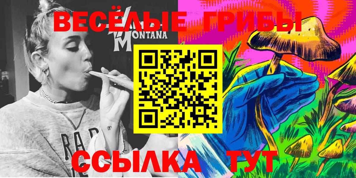 Галлюциногенные грибы MAGIC MUSHROOMS Борисоглебск